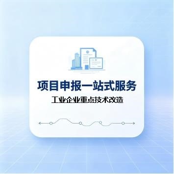 工业企业重点技术改造(咨询服务)